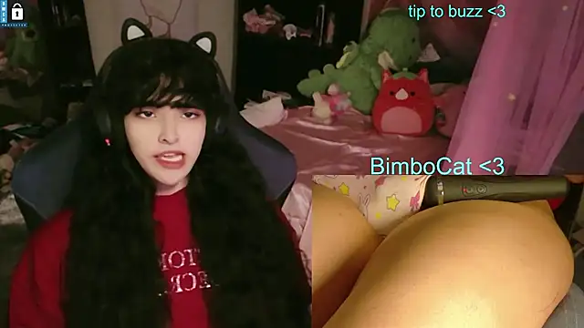 BimboCat 网络视讯表演