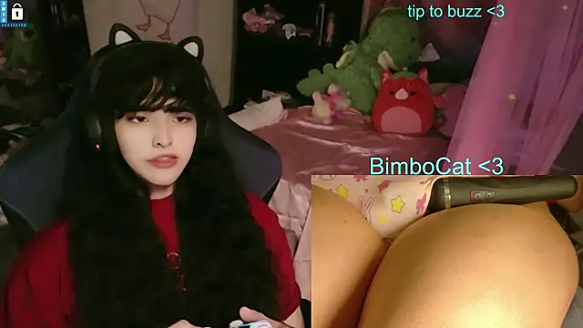 Show Webcam de BimboCat