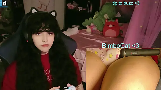 BimboCat – webcam-show