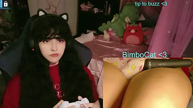 BimboCat: διαδικτυακό σόου στην κάμερα