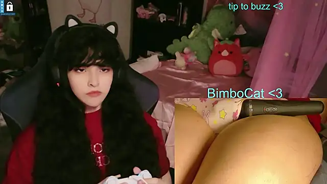 BimboCat ওয়েবক্যাম শো