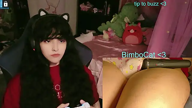 BimboCat webkamerás műsora