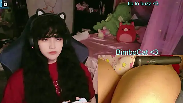 BimboCat Show in webcam