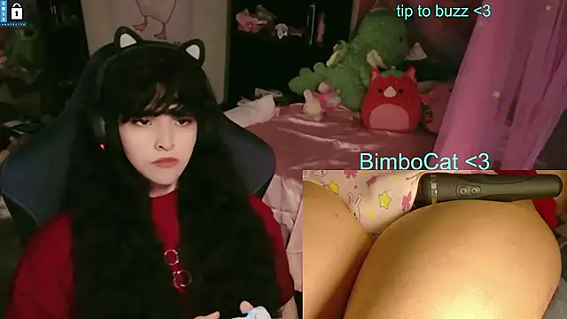 BimboCat's Webcam Show