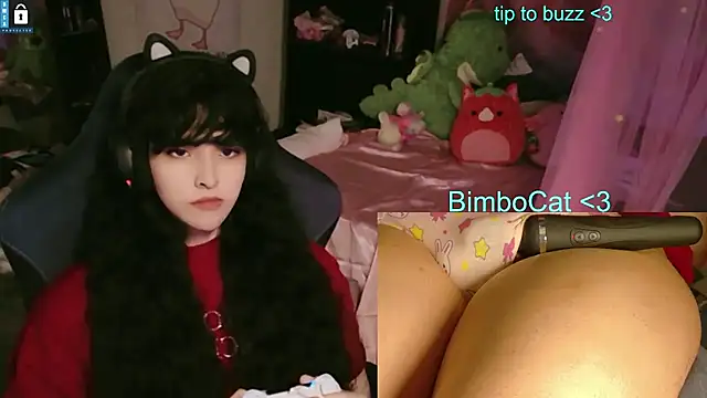 BimboCat Webcam show