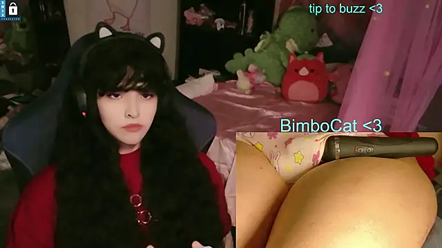 BimboCat: вебкам-шоу
