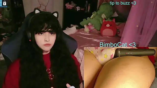 Pokazy przed kamerką – BimboCat