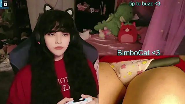 BimboCat ওয়েবক্যাম শো