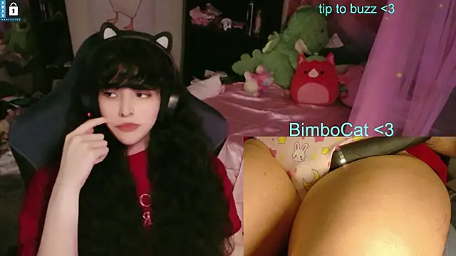 BimboCat – Kamerová šou
