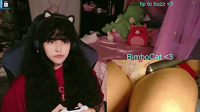 BimboCat 웹캠 쇼