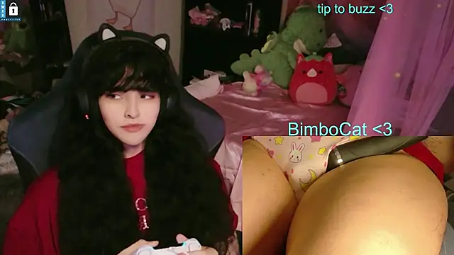 Show de BimboCat na webcam