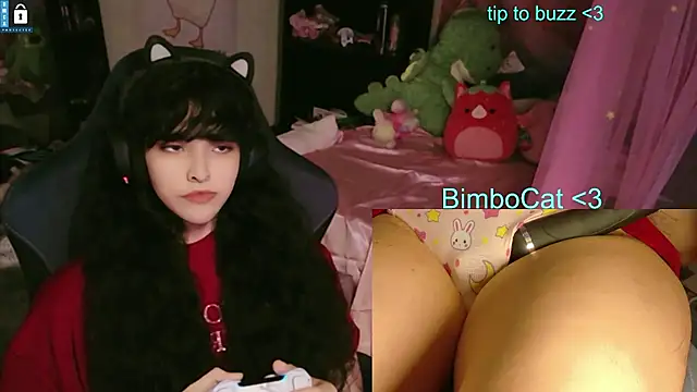 BimboCat – webcam-show