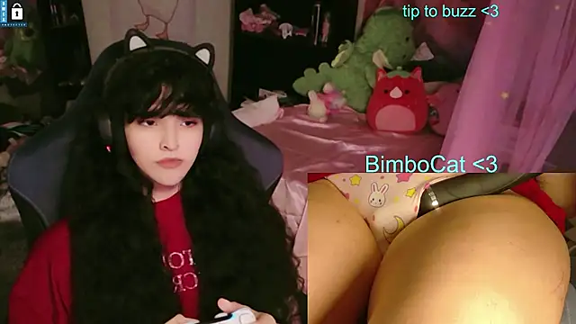 BimboCat Webcam show