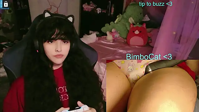 הופעת וובקאם של BimboCat