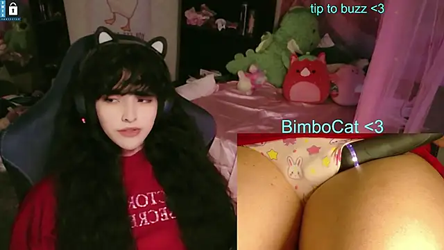 BimboCatのウェブカメラショー