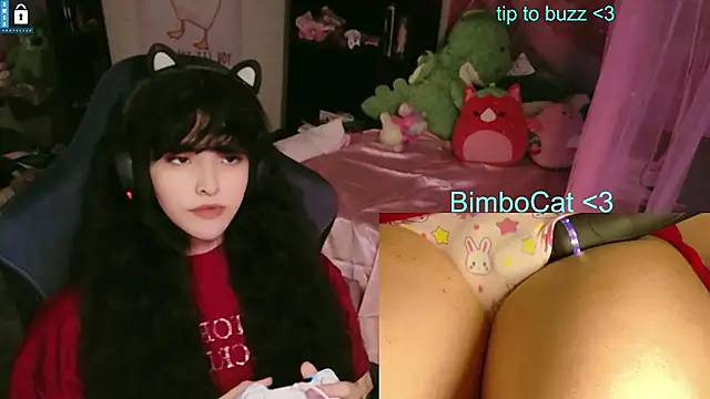 BimboCat – webcam-show