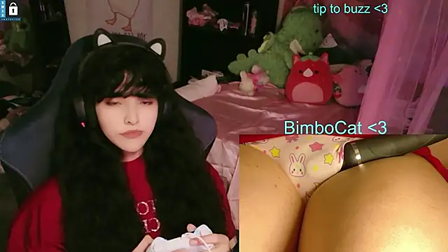 Show de BimboCat na webcam