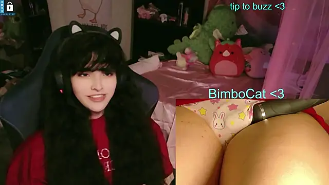 Pertunjukan Kamera Web BimboCat