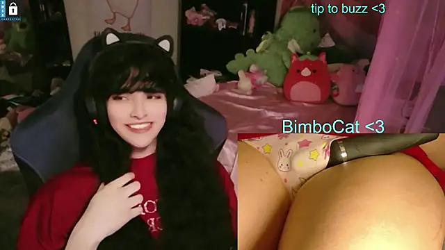 BimboCat – Kamerová šou