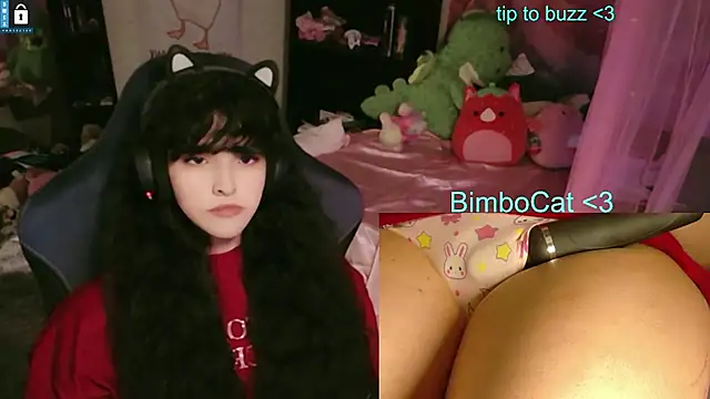 BimboCat Шоу с уебкамера