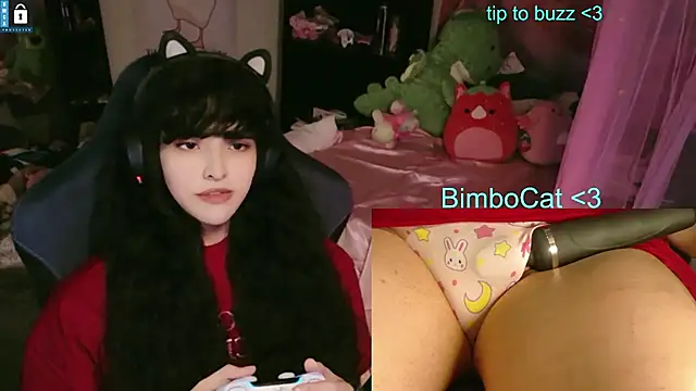 Show Webcam de BimboCat