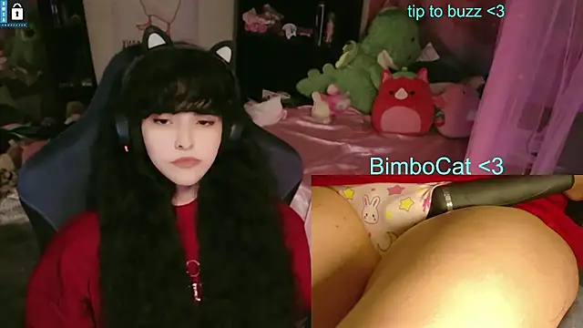 BimboCat 网络视讯表演