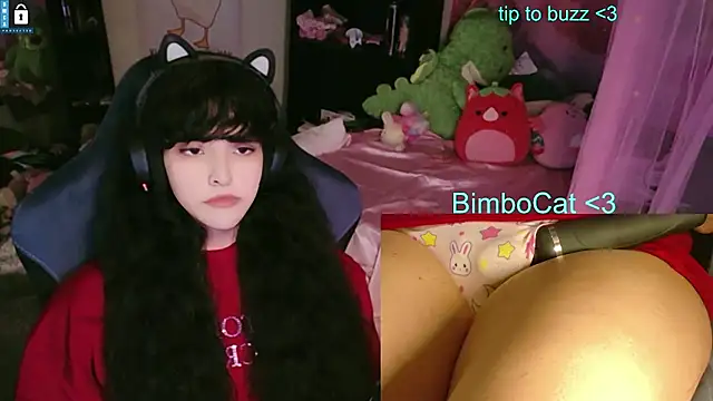 Show webcam de BimboCat