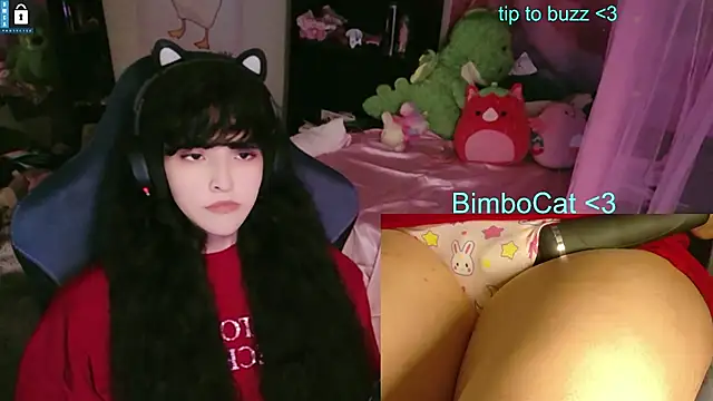 BimboCat's Webcam Show