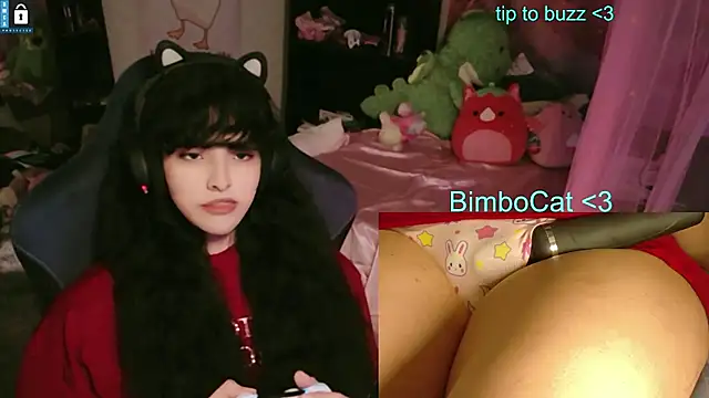 Show de BimboCat na webcam