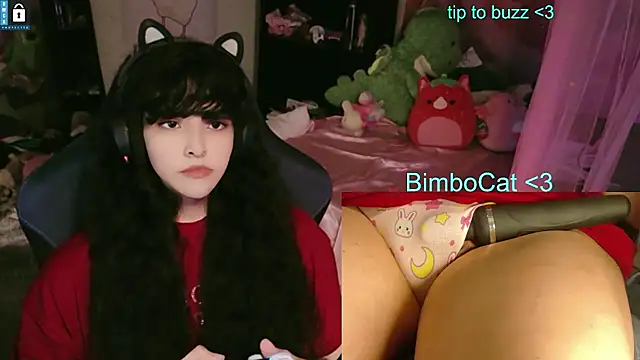 BimboCat's Webcam Show
