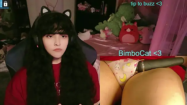 Show webcam de BimboCat