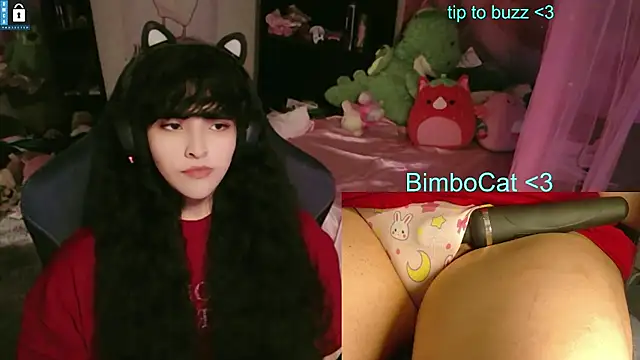 Show Webcam de BimboCat