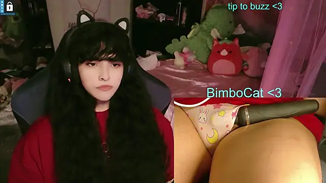 Show de BimboCat na webcam