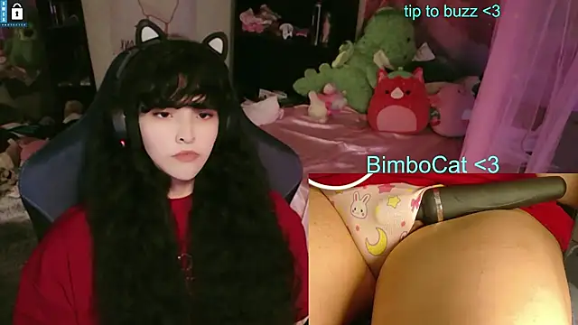 Pertunjukan Kamera Web BimboCat
