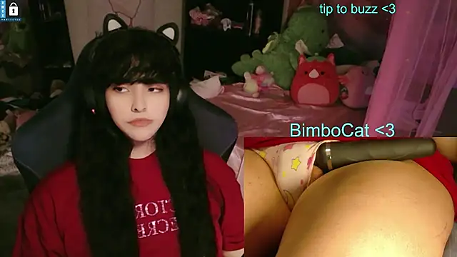 Show de BimboCat na webcam