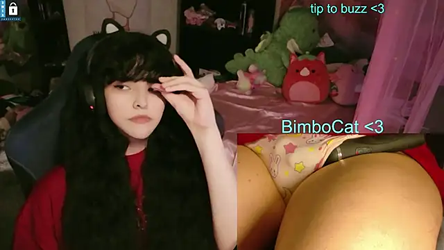 BimboCat's Webcam Show