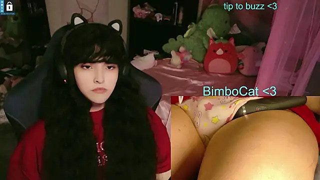 Вебкам-шоу BimboCat
