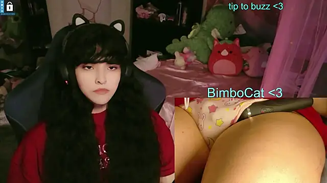 Show de webcam de BimboCat
