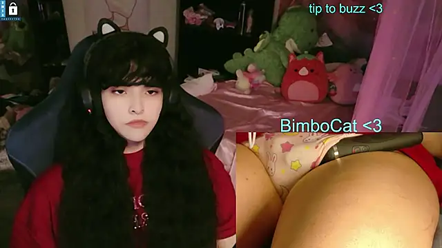 BimboCat: διαδικτυακό σόου στην κάμερα