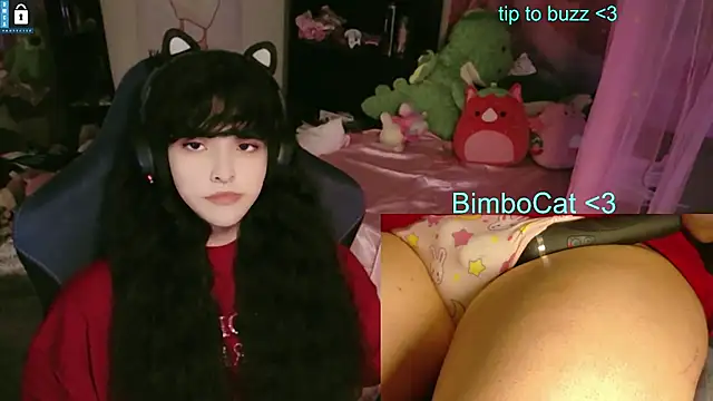 BimboCat Шоу с уебкамера
