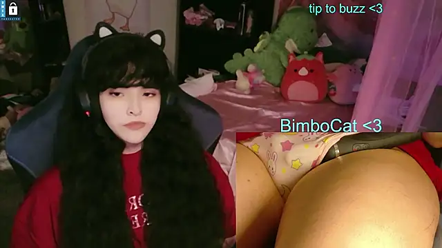 Show Webcam de BimboCat