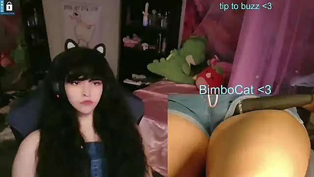 Show Webcam de BimboCat