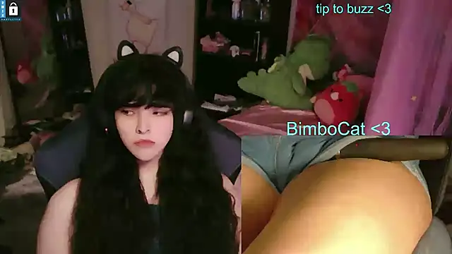 Show de webcam de BimboCat