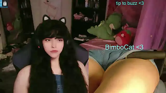 Pertunjukan Kamera Web BimboCat