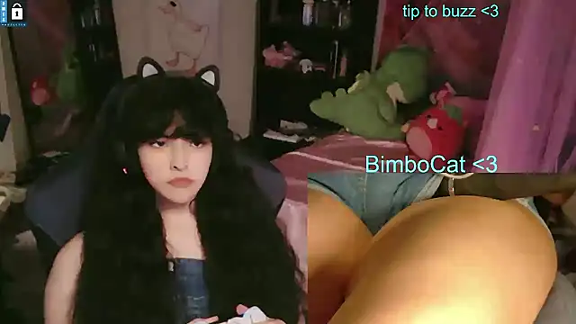 BimboCat 웹캠 쇼