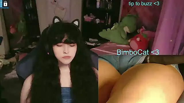 BimboCat Show Webcam