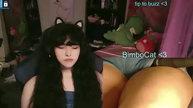 Show de BimboCat na webcam
