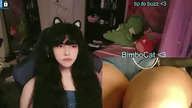 BimboCat Webcam show