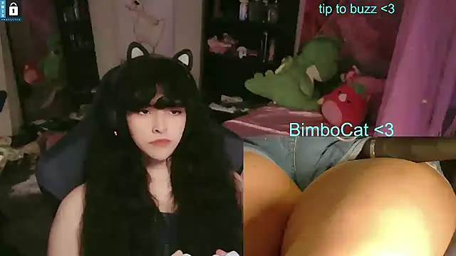 BimboCat Webcam show
