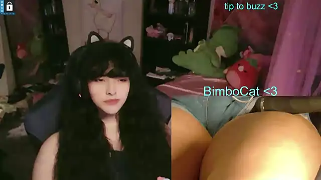 Show de BimboCat na webcam